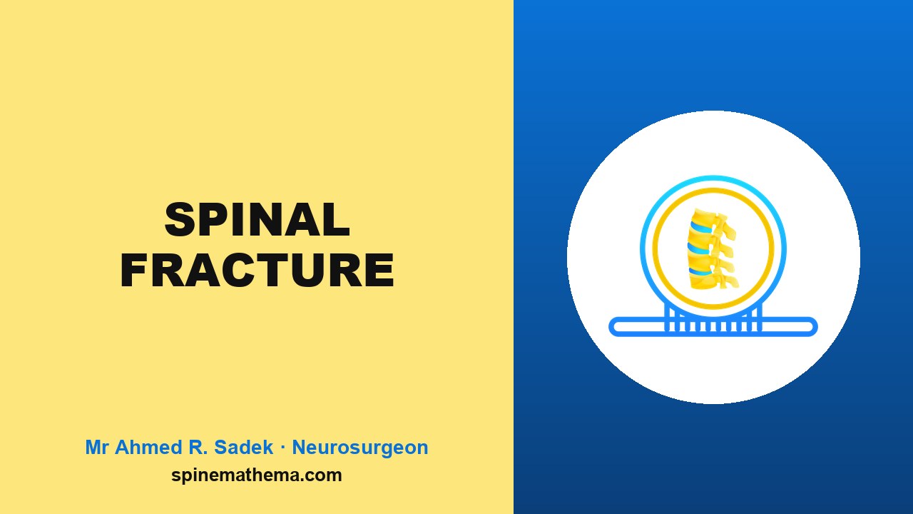 Vertebroplasty and kyphoplasty picture